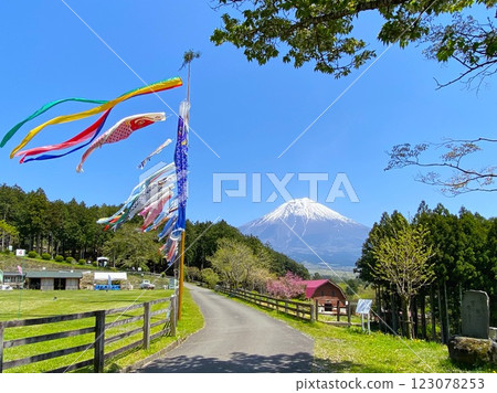 Mt. Fuji and carp streamers 123078253