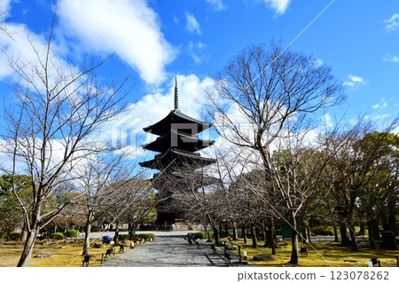 京都府東寺/近藤(國寶)京都市南區九條町 2022 年 2 月 京都府東寺/近藤(國寶)京都市南區九條町 2022 年 2 月 123078262