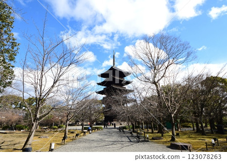 京都府東寺/近藤(國寶)京都市南區九條町 2022 年 2 月 京都府東寺/近藤(國寶)京都市南區九條町 2022 年 2 月 123078263