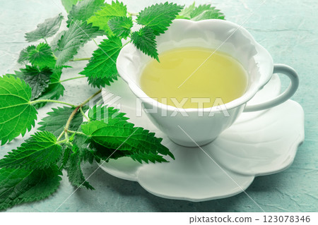 Nettle tea. Medicinal herbal tea with Urtica leaves. Fresh wild herb 123078346