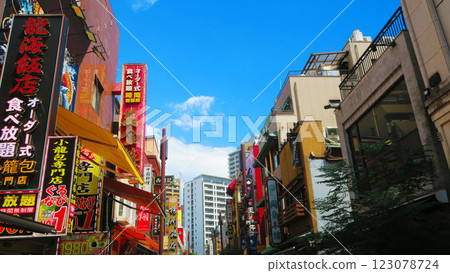 Scenery of Yokohama Chinatown (photographed in 2024) 123078724