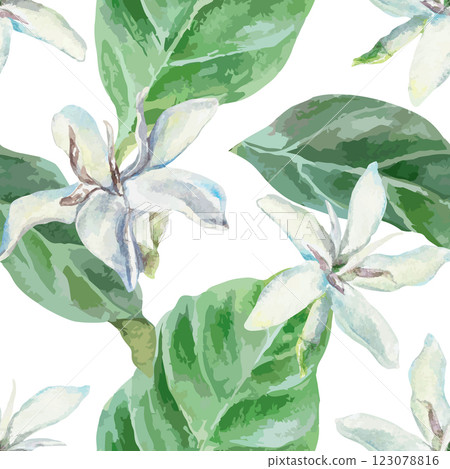 White flowers and green leaves of coffee tree, seamless pattern, watercolor. Hand drawn vector illustration. For cards, wrapping paper, covers, fabric, wallpaper, textile. 123078816