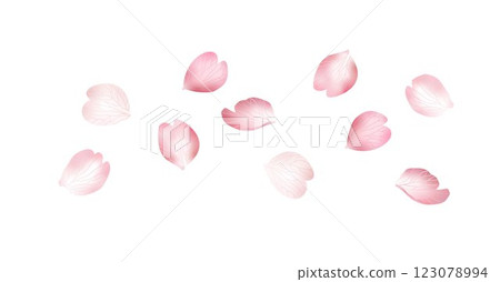 Flying pink sakura petals falling isolated on white background. Rose flower petals overlay. Realistic vector illustration. Valentine, love, spring. Wedding floral cherry blossom background banner 123078994