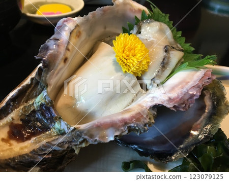 Eat "Tango Iwakaki" Oysters at Amanohashidate Eat "Tango Iwakaki" Oysters at Amanohashidate 123079125