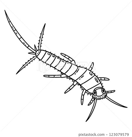 Insect Silverfish Animal Isolated Coloring Page  123079579