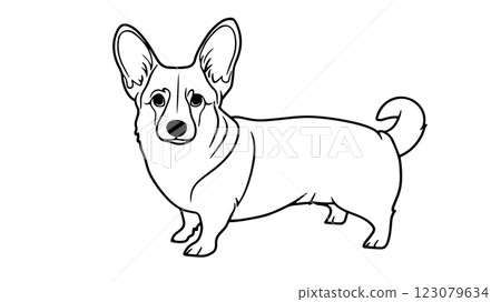 Corgi dog line drawing. Pembroke Welsh Corgi breed standing. Pet shop veterinary logo. Black outline illustration white background 123079634