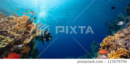 Scuba Diver Swimming in Deep Sea with Sunrays and Beautiful Coral Reef with Colorful Fishes Scuba Diver Swimming in Deep Sea with Sunrays and Beautiful Coral Reef with Colorful Fishes 123079700