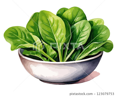 碗裡的菠菜水彩插圖 - AI生成 123079753