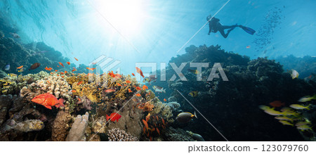 Scuba Diver Swimming in Deep Sea with Sunrays and Beautiful Coral Reef with Colorful Fishes Scuba Diver Swimming in Deep Sea with Sunrays and Beautiful Coral Reef with Colorful Fishes 123079760