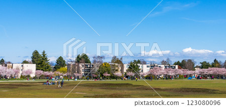 Garry Point Park in springtime. Cherry blossom flowers in full bloom. Richmond, BC, Canada. 123080096