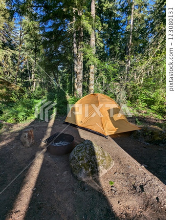 Yellow camping tent in a tranquil Washington forest setting on a sunny day. 123080131