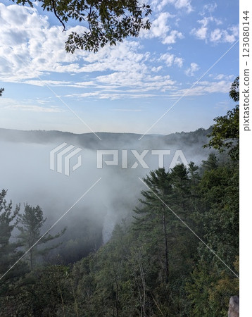 Foggy Morning Over PA Grand Canyon with Lush Forest and Scenic Views. 123080144