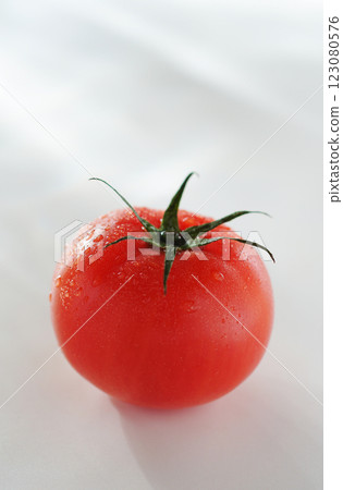 Tomato with water drops (white background) Tomato with water drops (white background) 123080576
