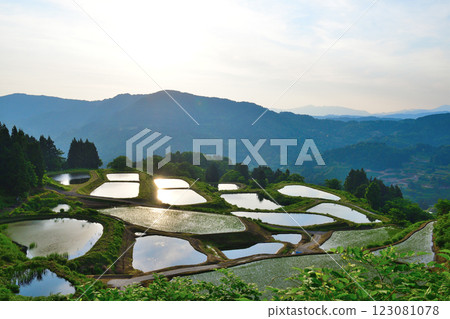 金倉山越梯田(新潟縣) 金倉山越梯田(新潟縣) 123081078