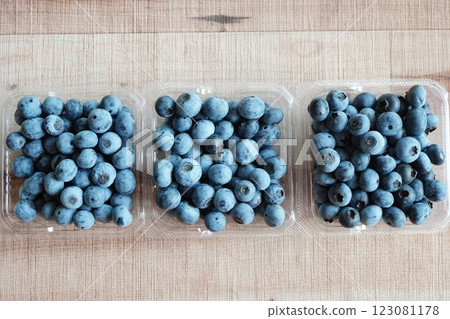 Large, sweet blueberries picked in packs while blueberry picking. Large, sweet blueberries picked in packs while blueberry picking. 123081178
