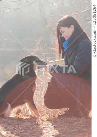 A young woman feeds a dog on a sunny day 123081264