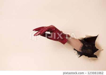 Beautiful female hand in a burgundy leather glove 123081862