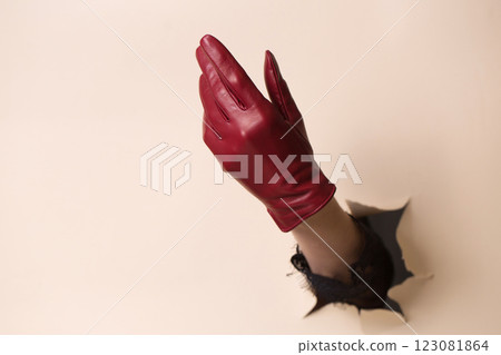 Beautiful hand in a burgundy leather glove 123081864