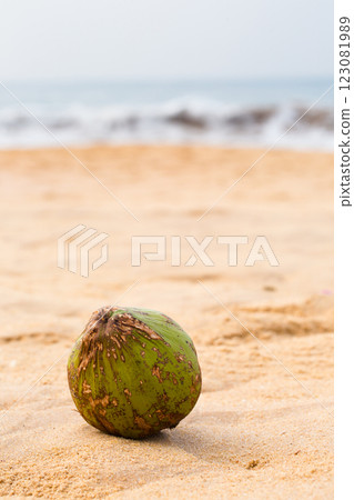 A green coconut sits on the sand at the beach A green coconut sits on the sand at the beach 123081989