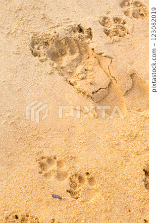 Human footprint and dog footprint in the sand Human footprint and dog footprint in the sand 123082019