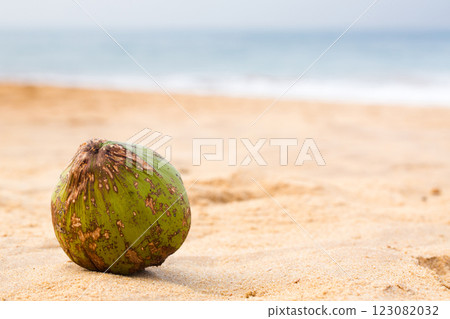 A green coconut sits on the sand at the beach 123082032