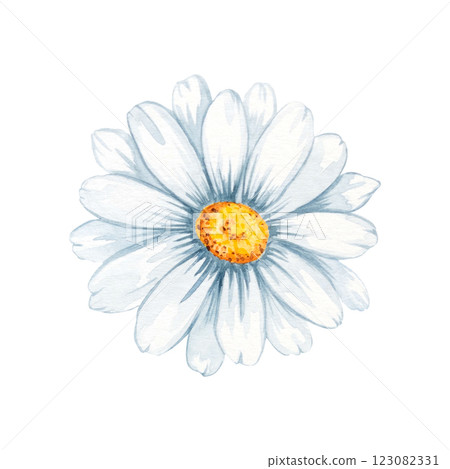 Chamomile, daisy, petal, bud watercolor set illustration isolated white background. Hand drawn floral botanical painting. Congratulations, wedding, greeting, invitation card, print Chamomile, daisy, petal, bud watercolor set illustration isolated white background. Hand drawn floral botanical painting. Congratulations, wedding, greeting, invitation card, print 123082331