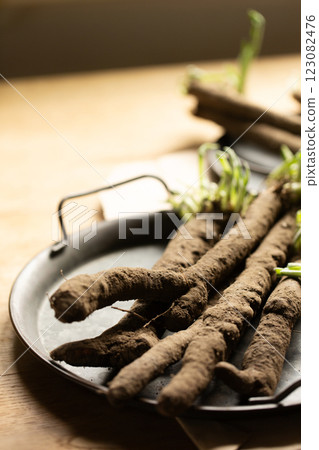 Scorzonera roots in a vintage tray Scorzonera roots in a vintage tray 123082476