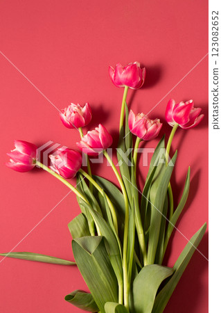 Beautiful bouquet of pink terry tulips on a pink. Spring and holiday concept 123082652