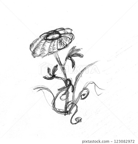 pencil drawing illustration, sketch, hand made pencil drawing illustration, sketch, hand made 123082972