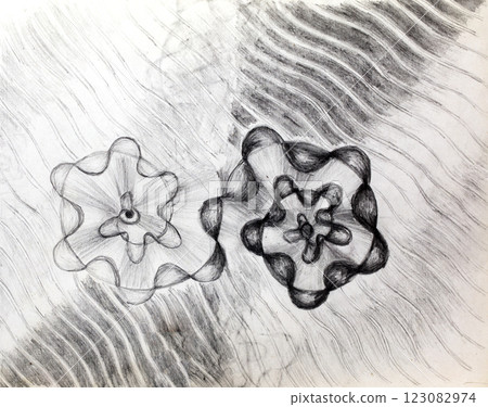 pencil drawing illustration, sketch, hand made 123082974