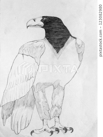 pencil drawing illustration, sketch, hand made 123082980