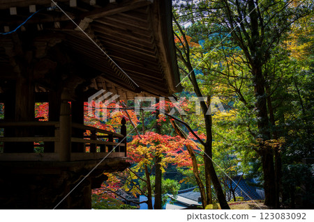 [88th Temple] Autumn leaves at Okuboji Temple [Shikoku 88 Temples] 123083092