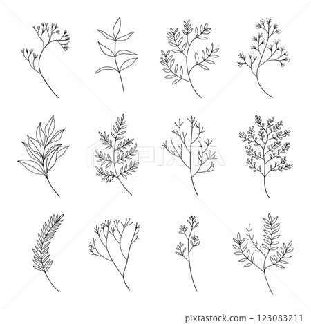 A delicate collection of hand-drawn botanical elements, including branches, leaves, and floral sketches. Perfect for branding, invitations, and decorative compositions. A delicate collection of hand-drawn botanical elements, including branches, leaves, and floral sketches. Perfect for branding, invitations, and decorative compositions. 123083211