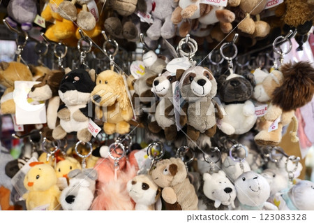 Interesting retro general goods store Interesting retro general goods store 123083328