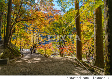 Scenery of Korankei in Toyota City (Aichi Prefecture) enveloped in autumn leaves 123083497