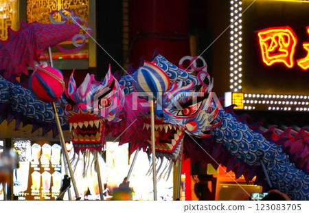 Chinese New Year Dragon Chinese New Year Dragon 123083705