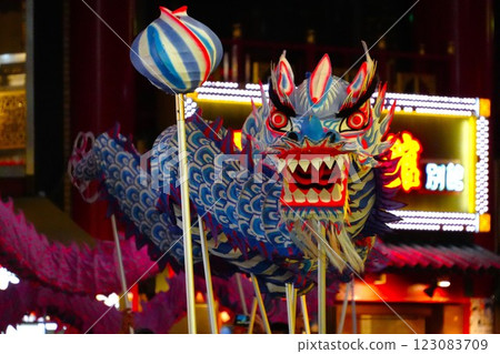 Chinese New Year Dragon 123083709