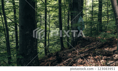 A narrow path winds through the dense forest, leading into the depths of the woods. 123083951