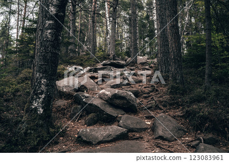 A rocky, uneven trail climbs steeply through the forest, surrounded by dense foliage and tall trees. A rocky, uneven trail climbs steeply through the forest, surrounded by dense foliage and tall trees. 123083961
