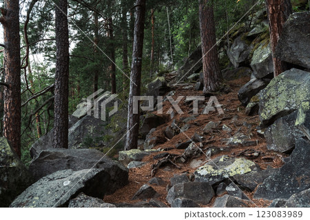 A group of massive boulders forms a natural obstacle in the middle of the forest. 123083989