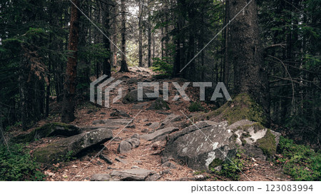 A rocky, uneven trail climbs steeply through the forest, surrounded by dense foliage and tall trees. 123083994
