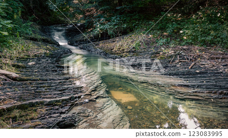 A small stream winds its way through the forest, with patches of green swirling in the clear water. A small stream winds its way through the forest, with patches of green swirling in the clear water. 123083995
