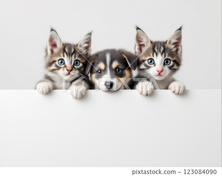 Two kittens and a puppy peeking over a blank sign Two kittens and a puppy peeking over a blank sign 123084090