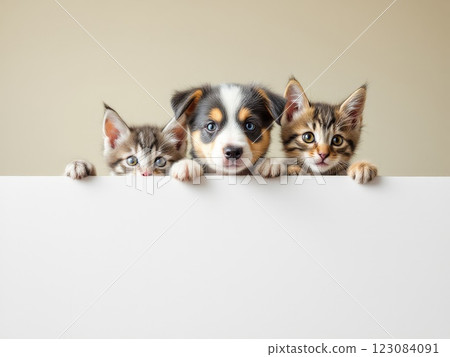 Two kittens and a puppy holding a white sign 123084091