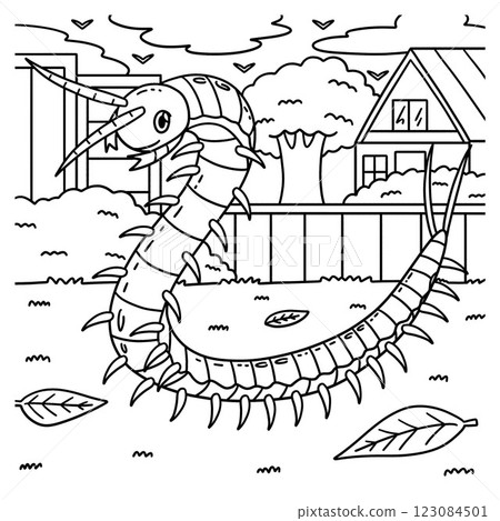 Insect Centipede Animal Coloring Page for Kids 123084501