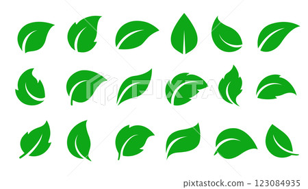 set of flying green plants and herbs leaves icons sign set of flying green plants and herbs leaves icons sign 123084935