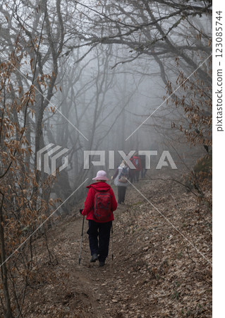 Tourists climbing the mountain hiking through the forest with fog Tourists climbing the mountain hiking through the forest with fog 123085744