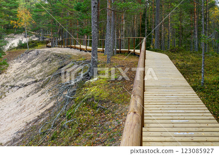 White Dune wooden boardwalk in Roja parish on the Baltic Sea coast, Latvia, seaside hiking trail White Dune wooden boardwalk in Roja parish on the Baltic Sea coast, Latvia, seaside hiking trail 123085927