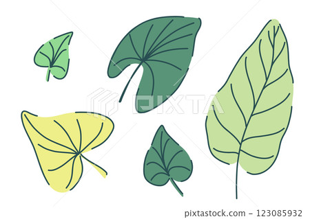 Hand drawn jungle ivy leaves set with tropical botanical elements. Vector illustration in modern minimal style. nature design for decoration print textile eco interior floral wedding invitation Hand drawn jungle ivy leaves set with tropical botanical elements. Vector illustration in modern minimal style. nature design for decoration print textile eco interior floral wedding invitation 123085932