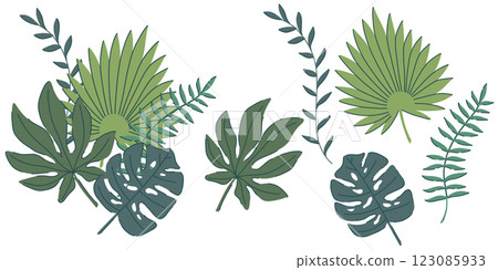 Vector illustration of tropical jungle leaves, featuring monstera, palm, and fern foliage. A botanical themed set with elegant green tones, perfect for invitations, decor, digital art, and patterns 123085933